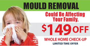 Mold Removal